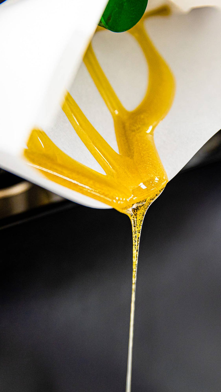 Pressing rosin on the bench