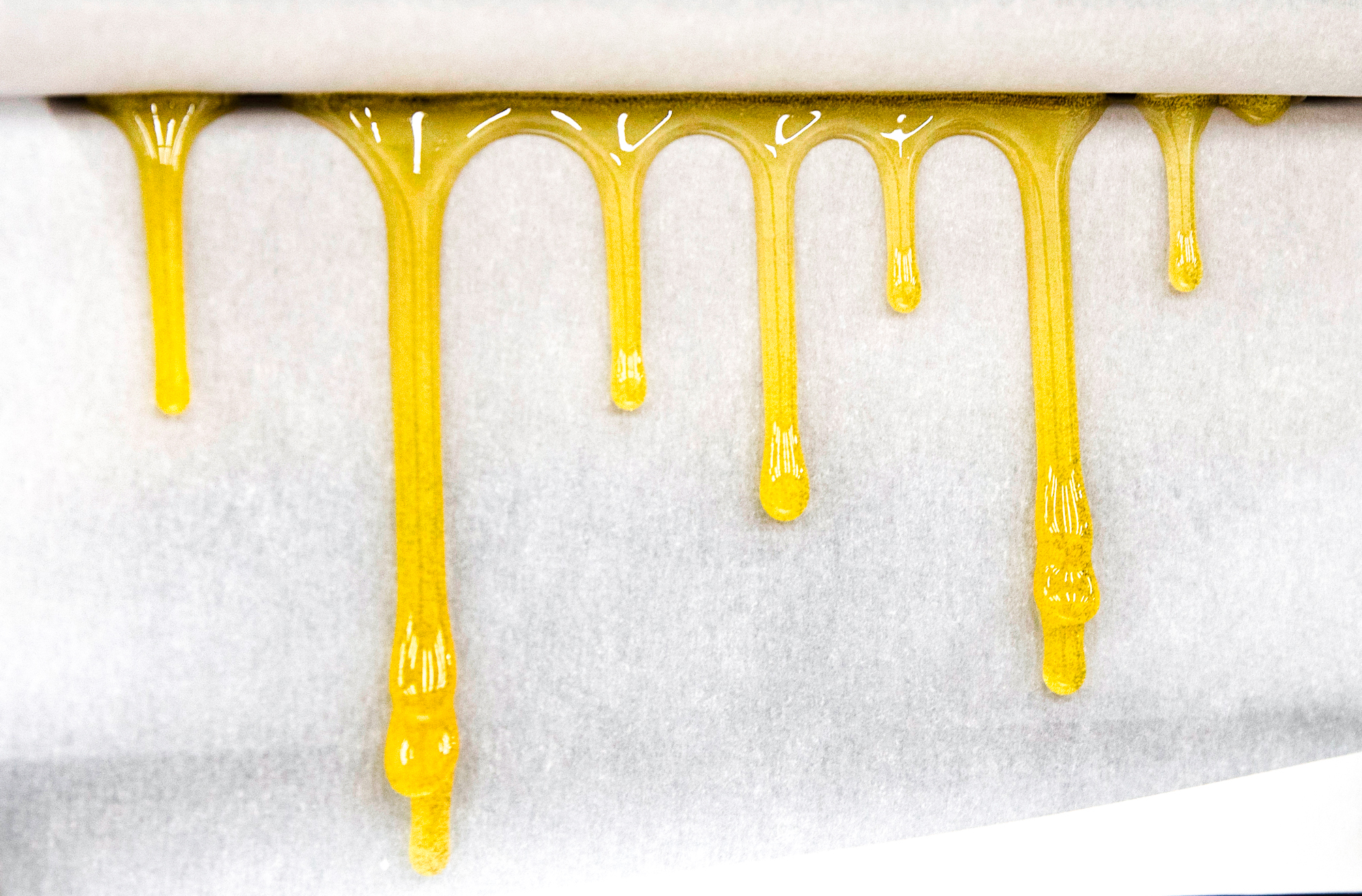 Fresh-pressed rosin